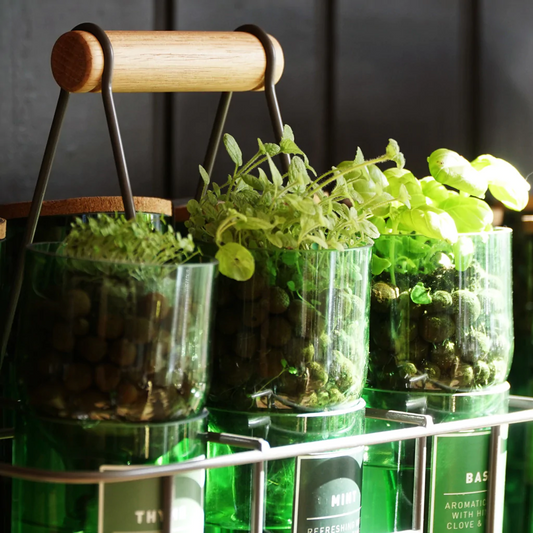 The Easiest Herbs to Grow Indoors - Unlock Your Windowsill's Potential!