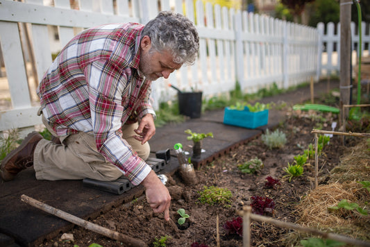 Man tilling his garden beds