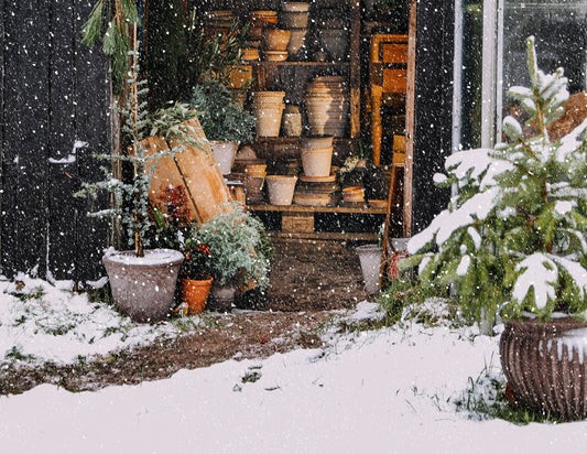 Plant pots left outside over winter