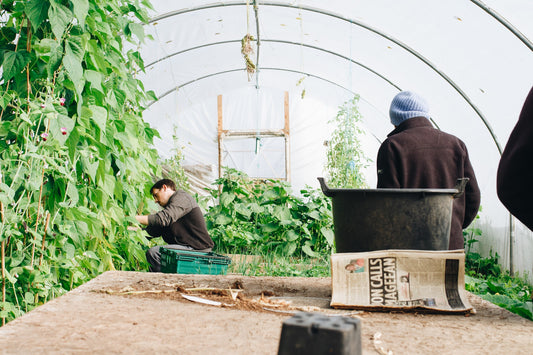 Man gardening