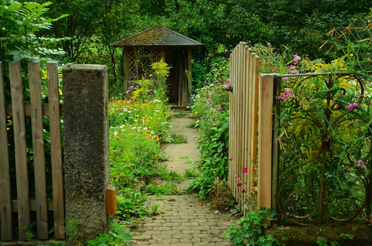 Untended garden with gate open